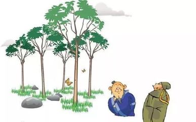 拒绝“流浪地球”，团小西约你一起来植树！