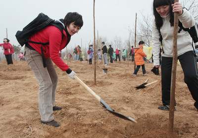 佳能开展“绿园先锋”志愿者植树活动 树木种植经营的双重效益