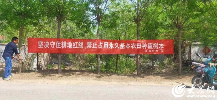 潍坊青州 益都街道“三融合”破解低效苗木难题，筑牢耕地保护防线